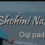 Шохин Насими Оки Падар