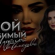 Индира Магомедова Любимый
