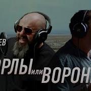 Орлы Орлы Или Вороны