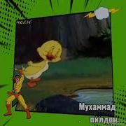 Хама Гамхот Аз Дилам