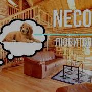 Neco Ark Любитель Собак