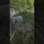 Этой Темной Ночью Приходи Ко Мне