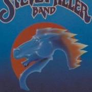 Stevemillerband Fly