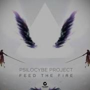 Psilocybe Project Vs Montti Whoami