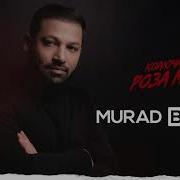 Колючая Роза Моя