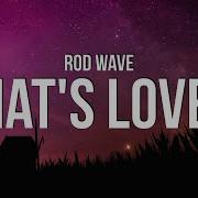 Rod Wave What S Love Lyrics Vibesonly