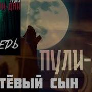 Группа Пули Дни Непутёвый Сын
