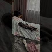 Я В Моменте Провалялся Целый День И Не Заметил