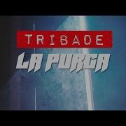 La Purga Tribade