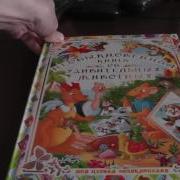 Необыкновенная Книга Об Удивительных Животных Видео