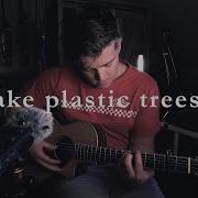 Radiohead Fake Plastic Trees Chase Eagleson Cover