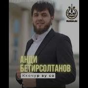 Анди Бетирсолтанов