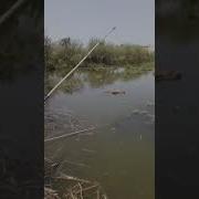 Кумсангир Чайхун
