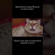 Гусеница Повреждена Движение Невозможно