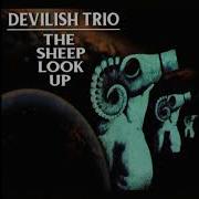 Devilish Trio The Sheep Look Up