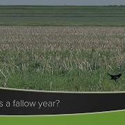 Farm Basics 1218 What Is A Fallow Year Air Date 8 8 21 Agphd