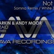 Progressive Trance Betsie Larkin Andy Moor Not Afraid Somna Remix Ava Asot 687