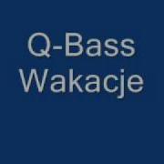 Q Bass Dj Brush Wakacje