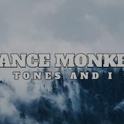 Dance Monkey Tones And I Bootleg Remix