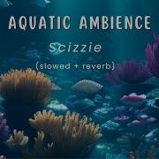 Aquatic Ambience Slowed Reverb