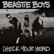 So What Cha Want Soul Assassin Remix Version Beastie Boys