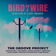 Bird On A Wire Melloe D Lofi Remix The Groove Project