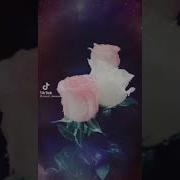 Новые Цыганские Песни 2022 Год