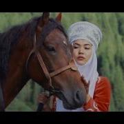 Тима Мукашев Кыргыз Жери