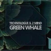 2 Mind Green Whale