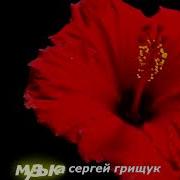 Грищук Сергей 2022
