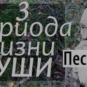 Три Периуда Жизни Человеческой Души Николай Пестов