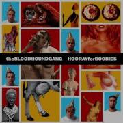 Bloodhound Gang This Is Stupid