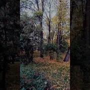 Не Замечал Я Раньше Эту Красоту