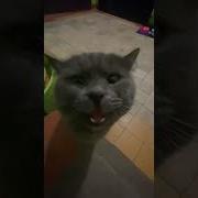 Кристина Вот Это Сиськи У Тебя