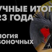 Итоги Зоологии