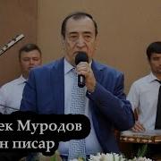 Ҷурабек Муродов Ҷон Писар