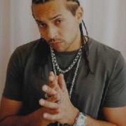Sean Paul Ft Fatman Scoop Get Busy Remix