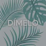 Merloy Dimelo