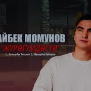 Айбек Момунов Журогумдосун