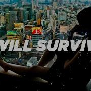 Gloria Gaynor I Will Survive Remix