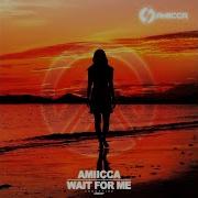 Wait For Me Extended Mix Amiicca