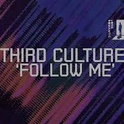 Third Culture Follow