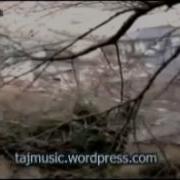 13 Фируз Расулов Эй Дил Даме