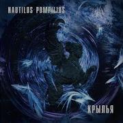 Nautilus Pompilius Дыхание