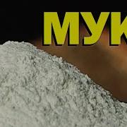 Такая Мука