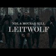 Ndl Leitwolf