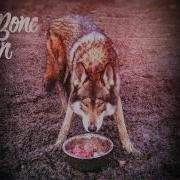 Rag N Bone Man Wolves