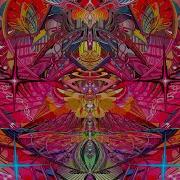 Dmt Trip Report