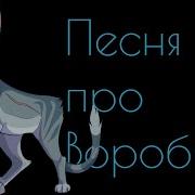 Коты Воители Песня Про Воробья
