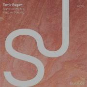 Tamir Regev Baldwin Raw Mix